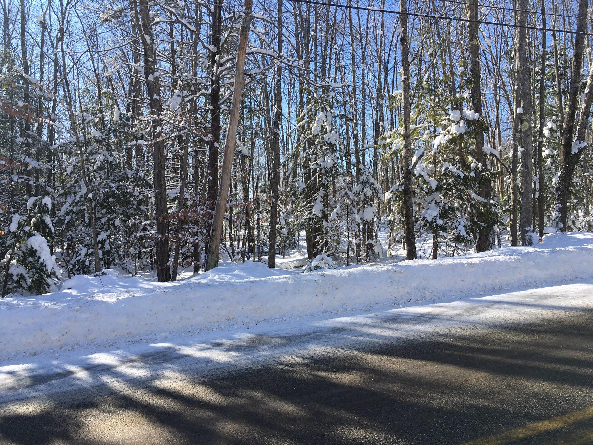 480 Greely Road Extension Cumberland, ME 04021 - Photo 3 of 5 IMG_7327
