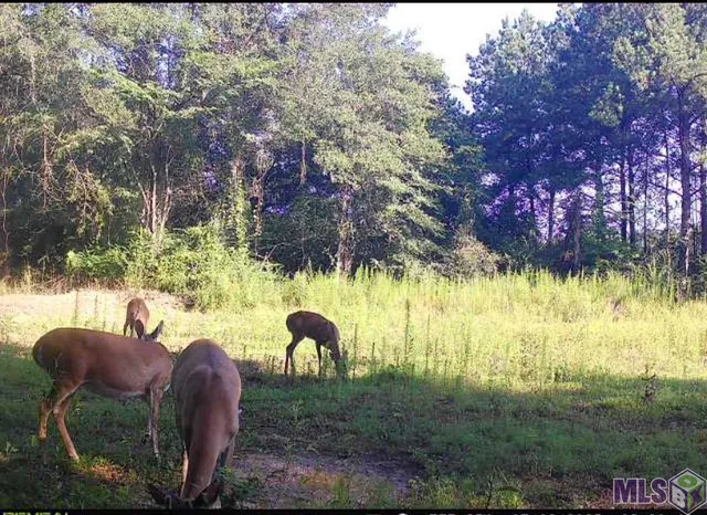 $279,999 | 7535 La Highway, Ethel, LA 70730