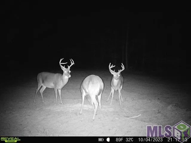 $279,999 | 7535 La Highway, Ethel, LA 70730