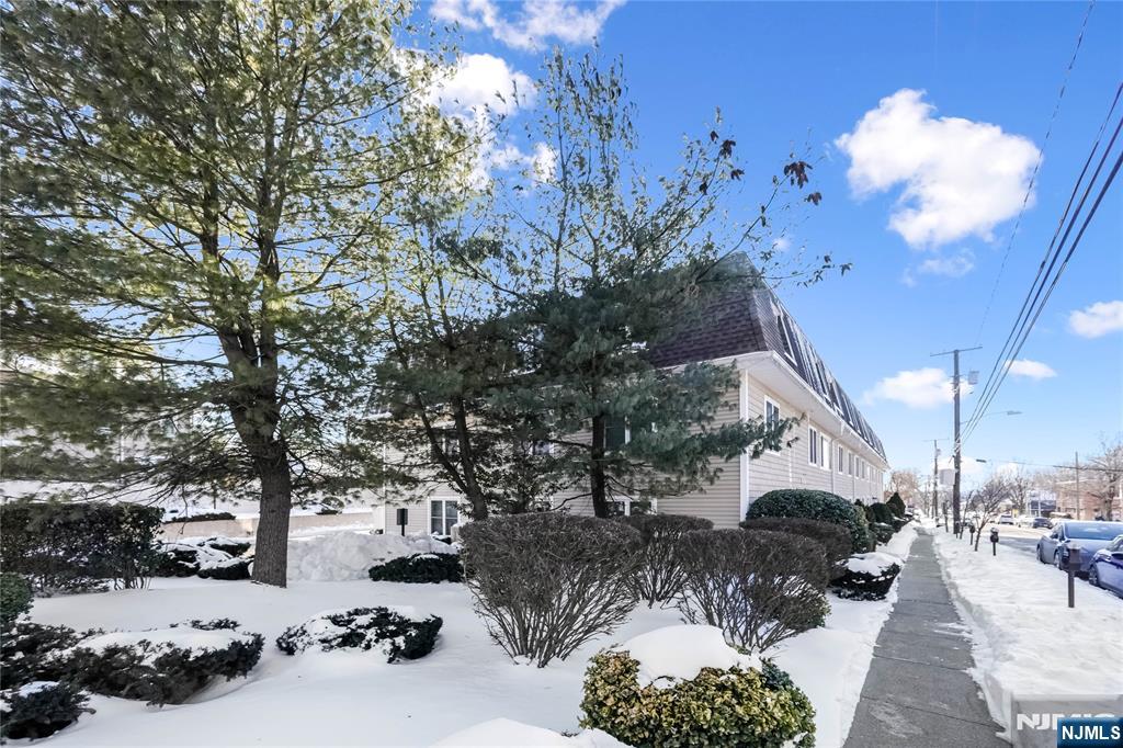 253 Park Avenue, Unit 304 Rutherford, NJ 07070 - Photo 4 of 23