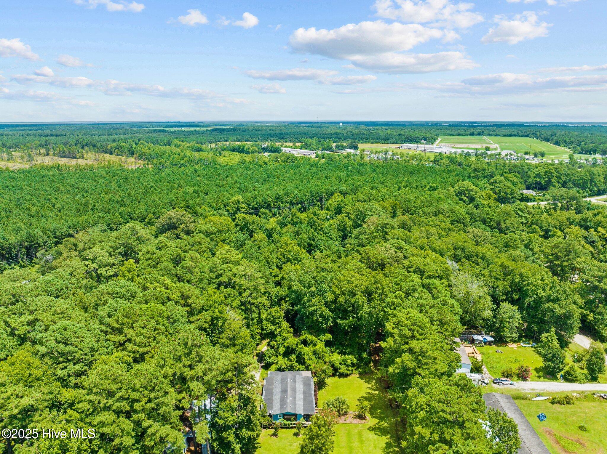 835 Tuttles Grove Road Beaufort, NC 28516 - Photo 13 of 21 12-web-or-mls-DJI_0344