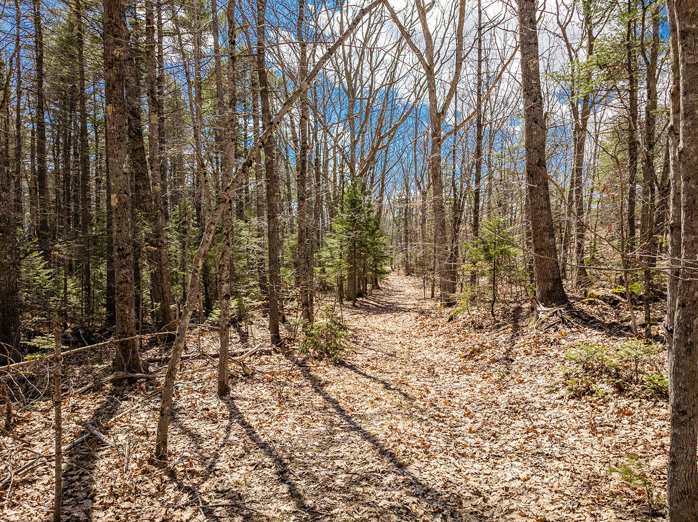 Four Rod Road Rockport, ME 04856 - Photo 2 of 7 DJI_0993