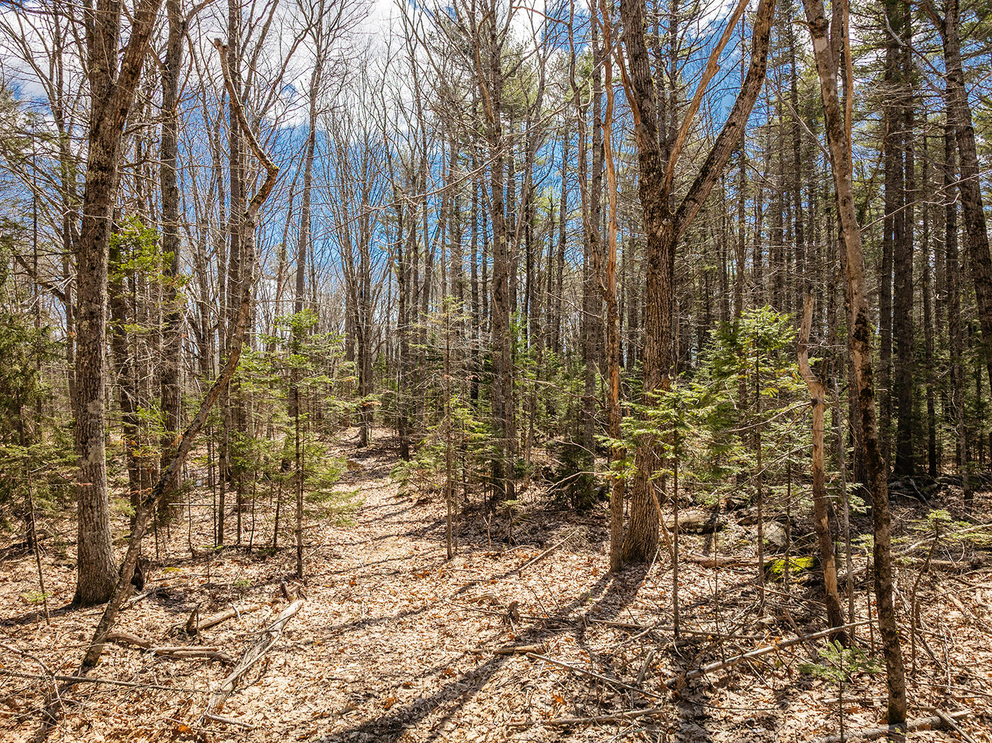 Four Rod Road Rockport, ME 04856 - Photo 3 of 7 DJI_0994