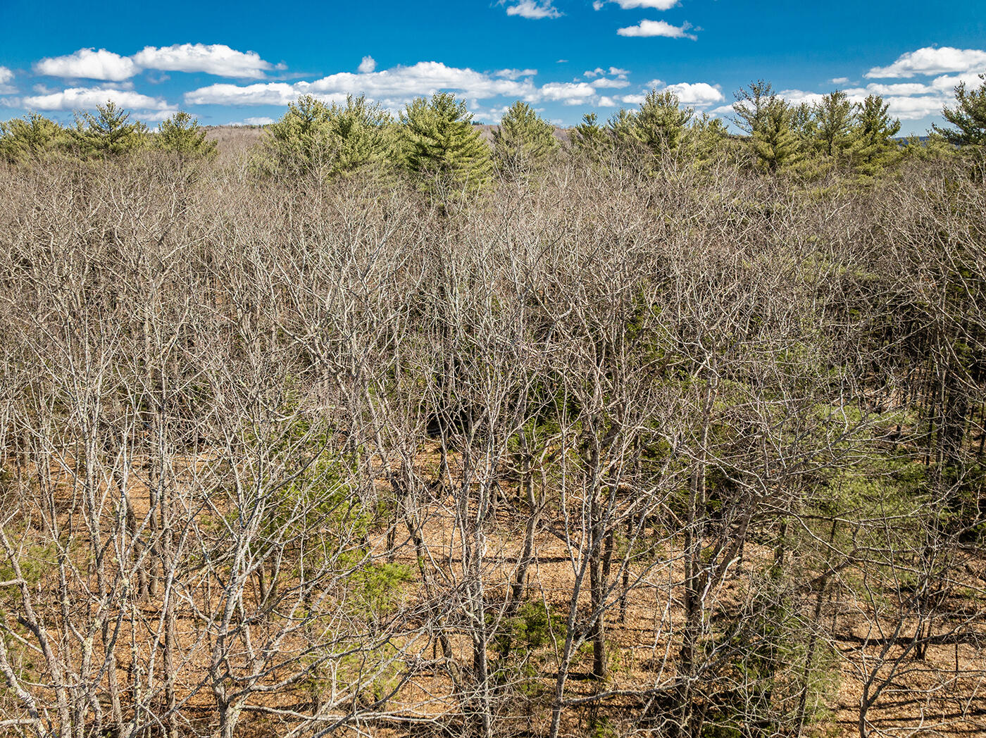 Four Rod Road Rockport, ME 04856 - Photo 4 of 7 DJI_0001