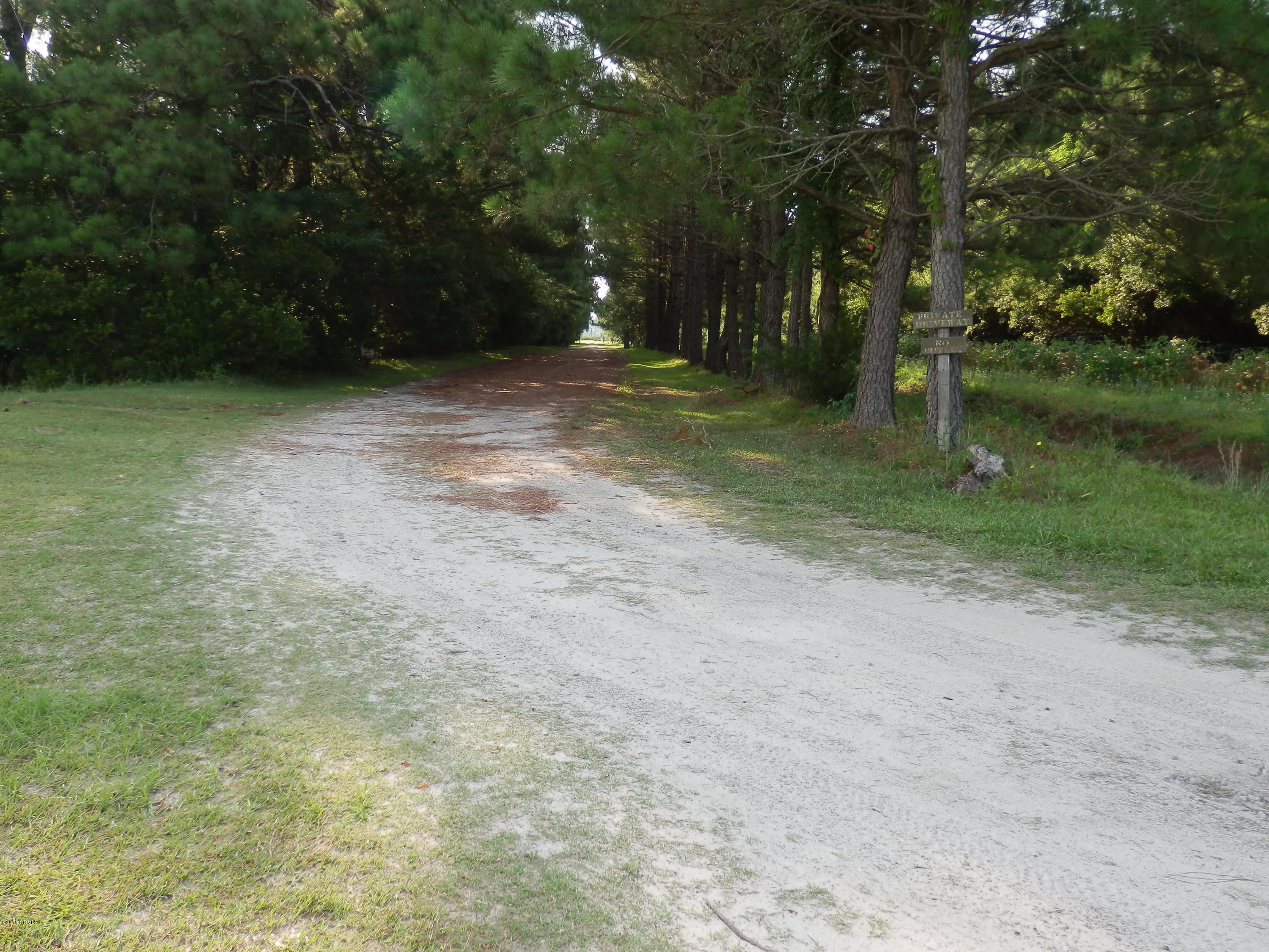 250 Cottage Farm Road Beaufort, NC 28516 - Photo 3 of 29 P6303574