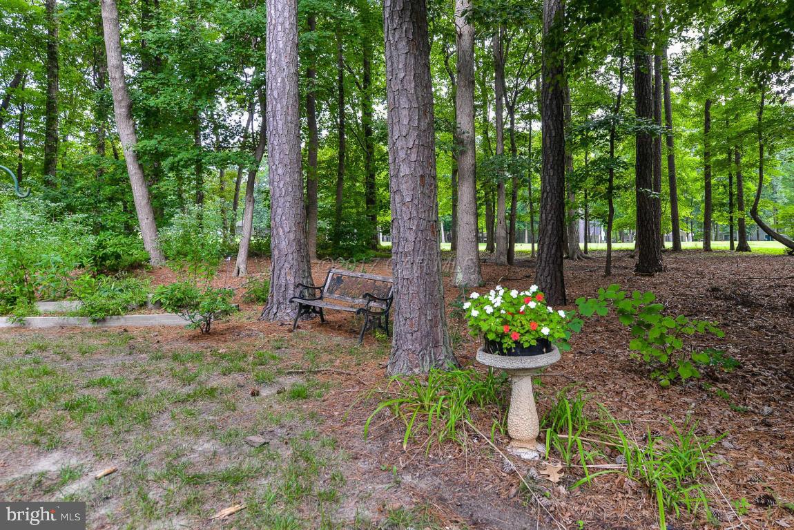 53 Drawbridge Road Berlin, MD 21811 - Photo 32 of 37