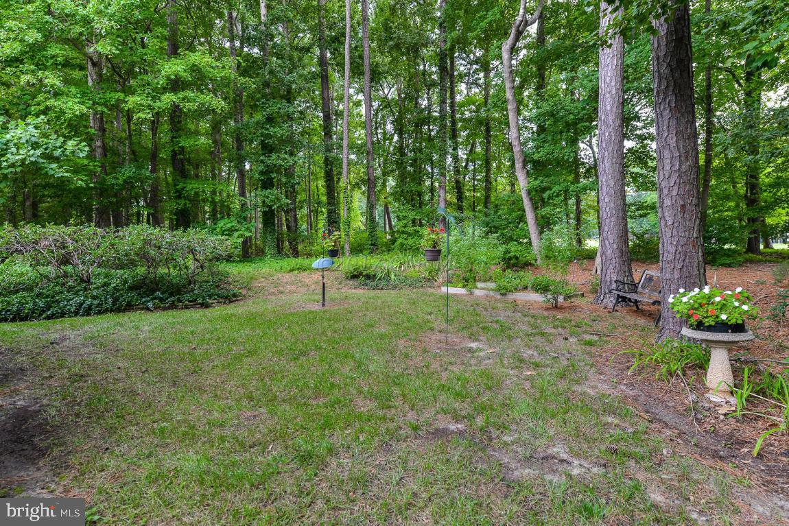 53 Drawbridge Road Berlin, MD 21811 - Photo 33 of 37