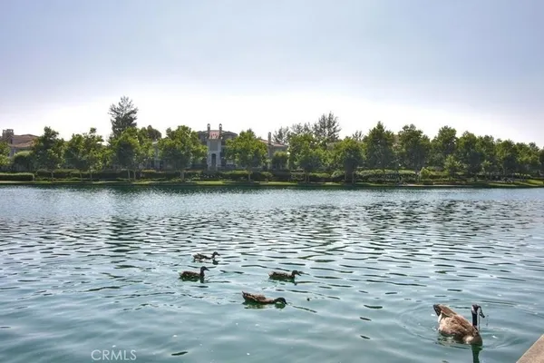 a view of a lake with houses in the back