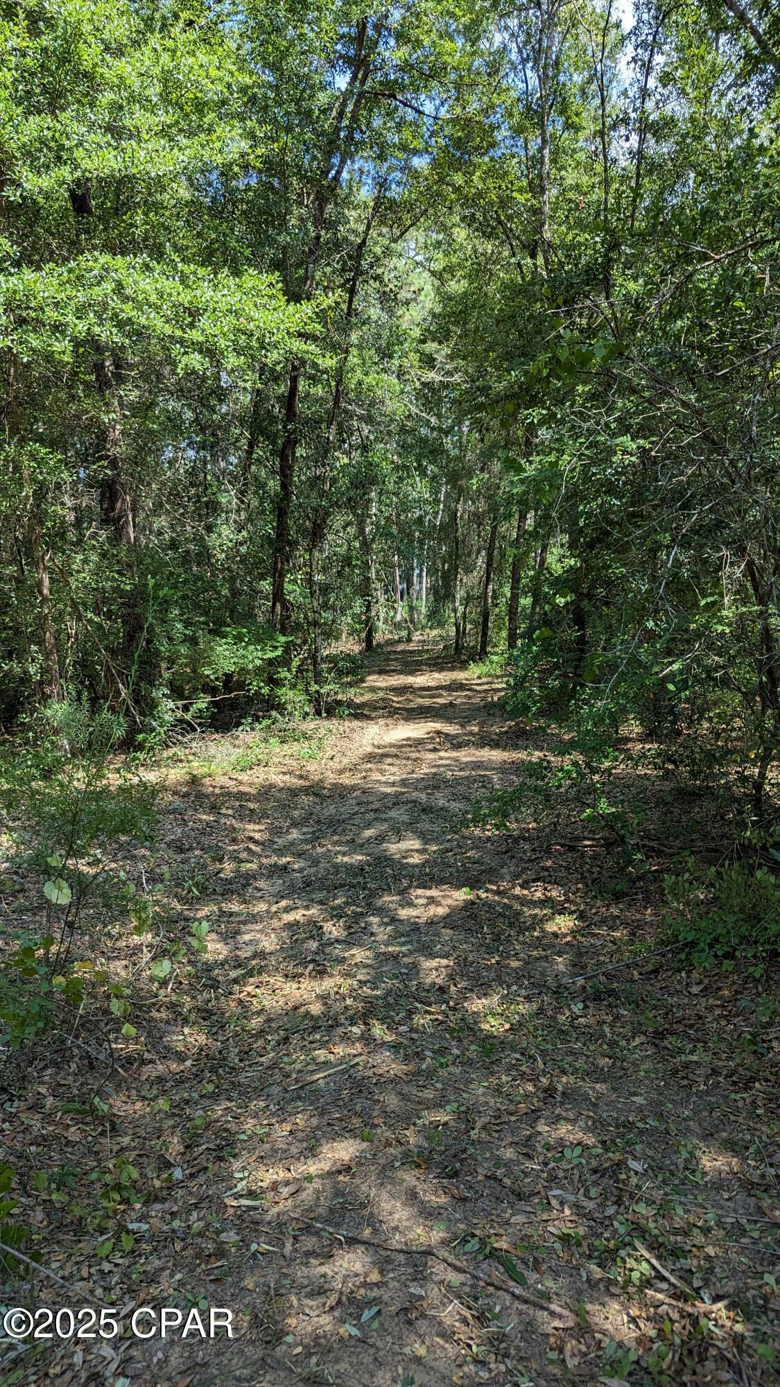 0 Moss Hill Road Chipley, FL 32428 - Photo 2 of 4