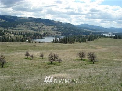 -lot E Suncrest Road Republic, WA 99166 - Photo 1 of 1 Gallery Image 1