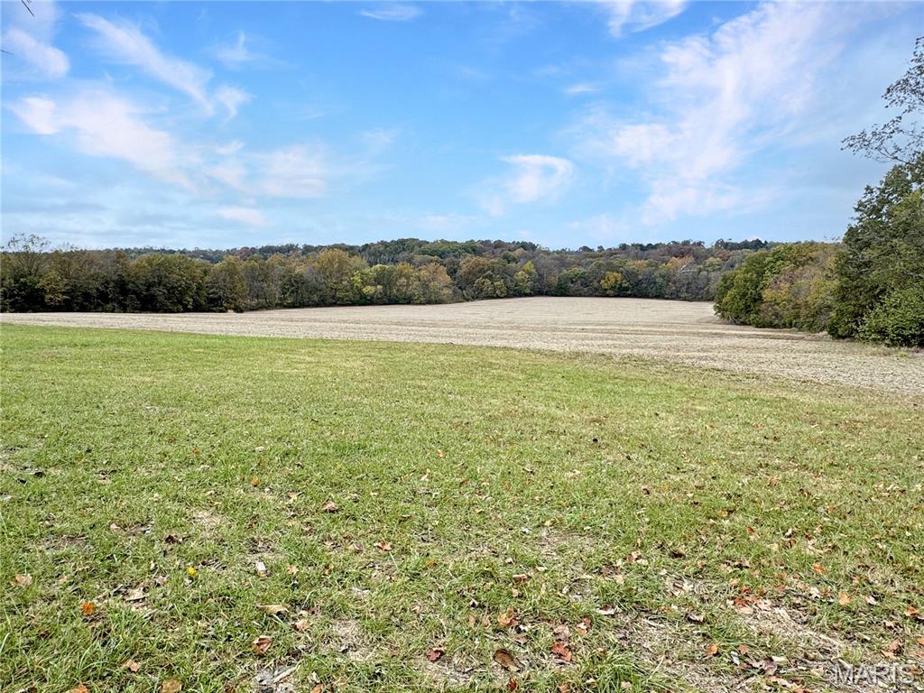 1933 4 Mile Road Washington, MO 63090 - Photo 43 of 52