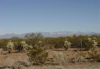 9790 East Andrada Road, Unit 2AC Vail, AZ 85641 - Photo 7 of 9