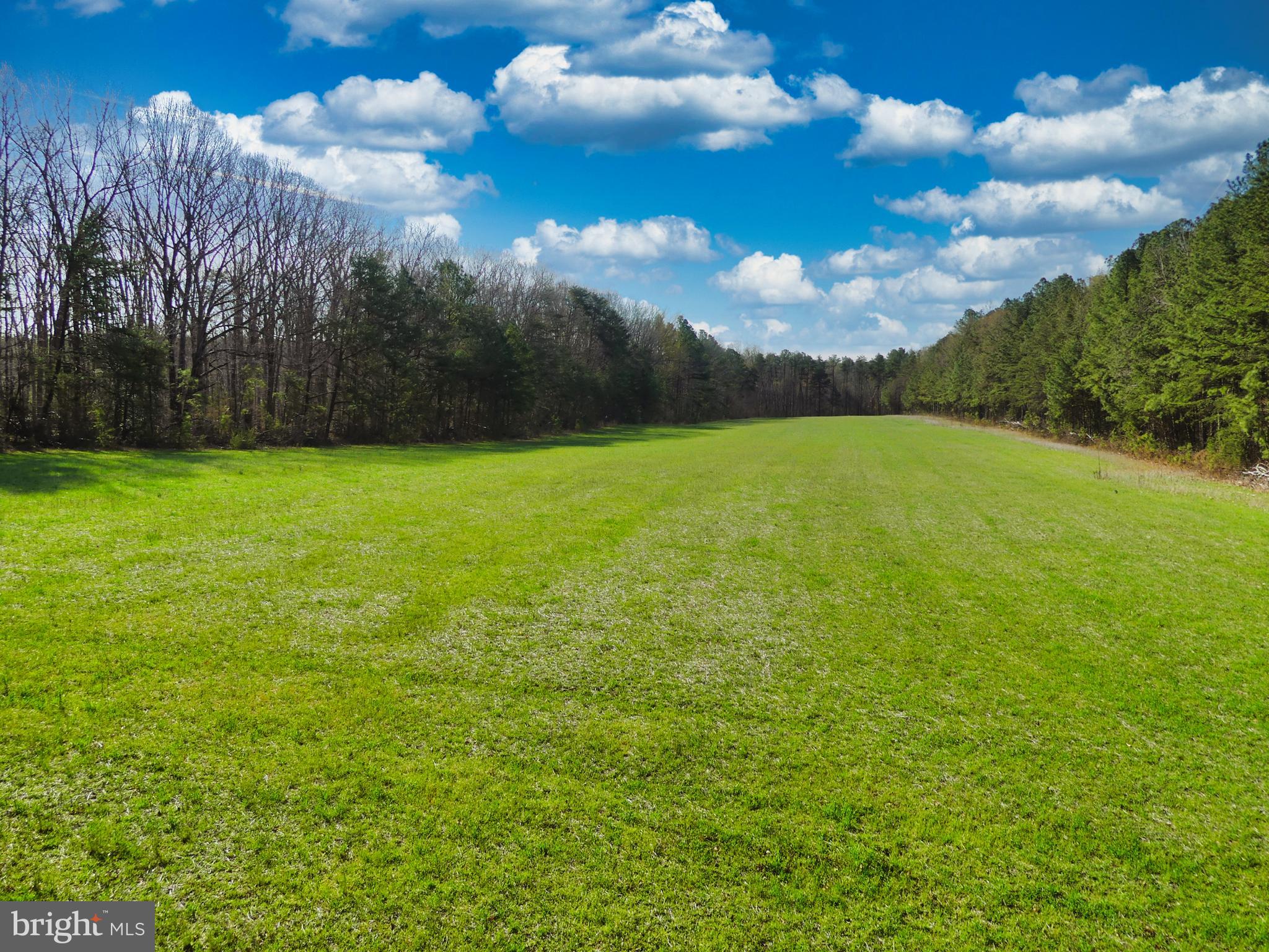 19075 Chilesburg Road Beaverdam, VA 23015 - Photo 1 of 16 Looking into the property from the road