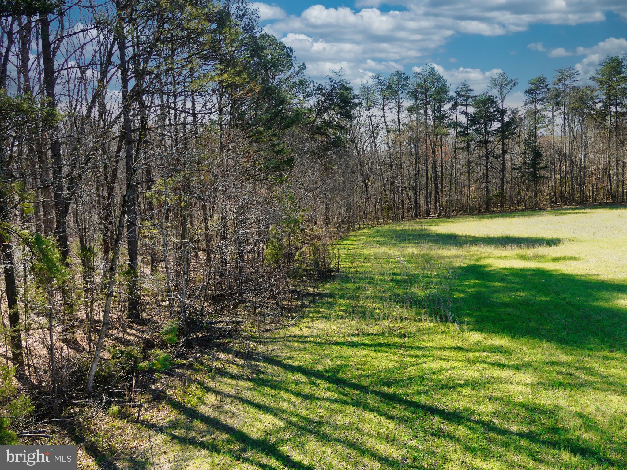 19075 Chilesburg Road Beaverdam, VA 23015 - Photo 11 of 16 East and South wooded area