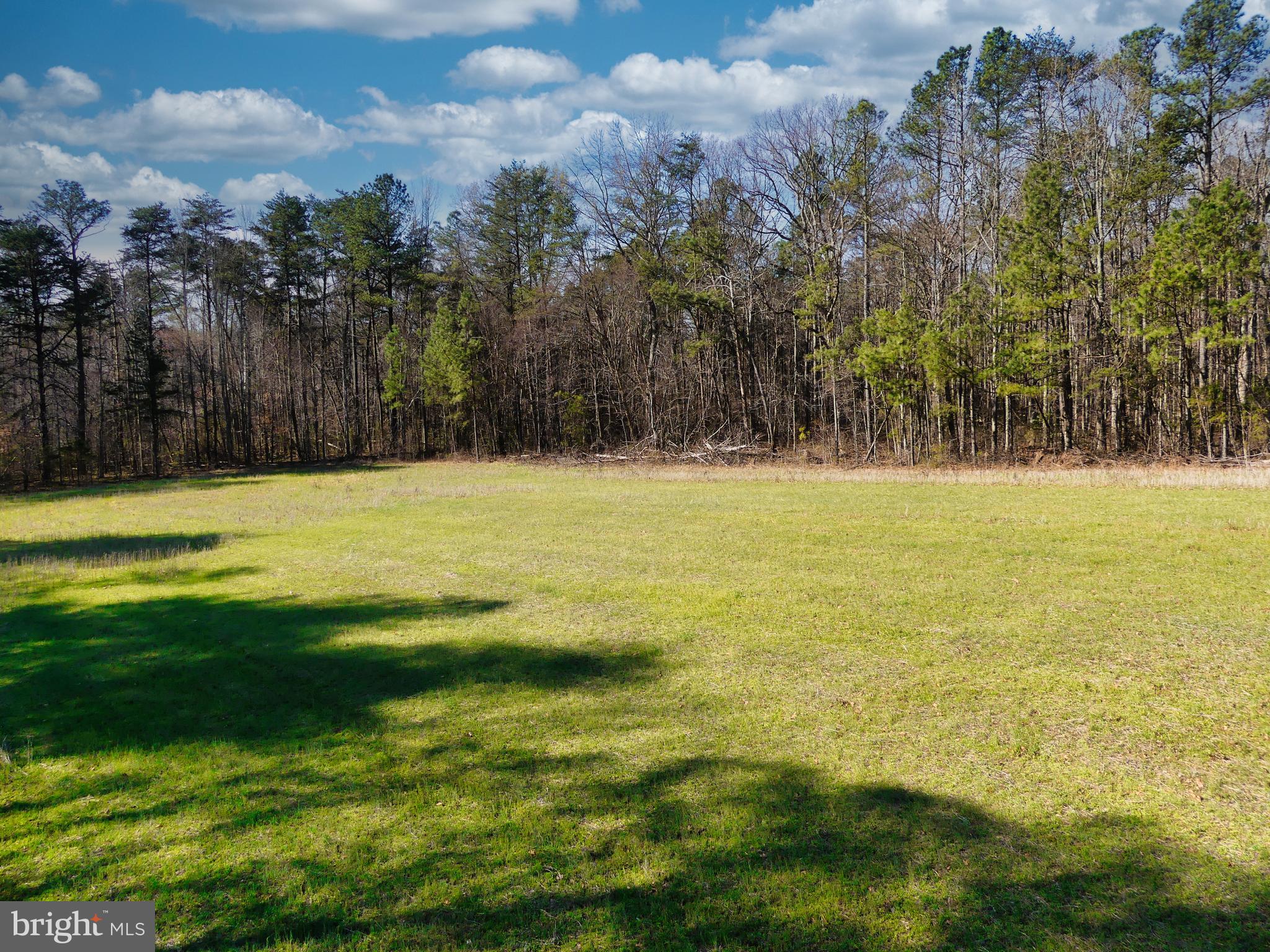 19075 Chilesburg Road Beaverdam, VA 23015 - Photo 12 of 16 South wooded area