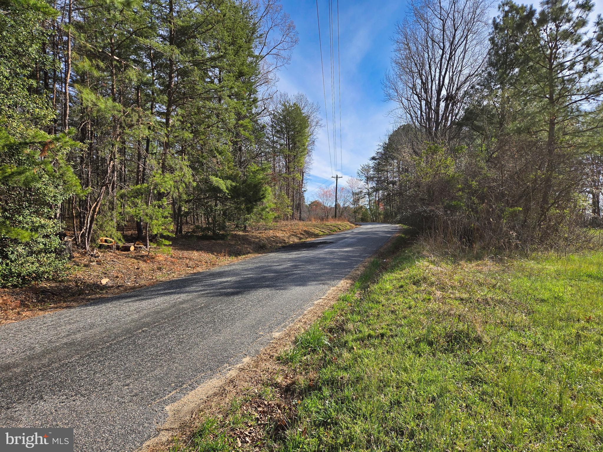 19075 Chilesburg Road Beaverdam, VA 23015 - Photo 15 of 16 Road entrance looking east