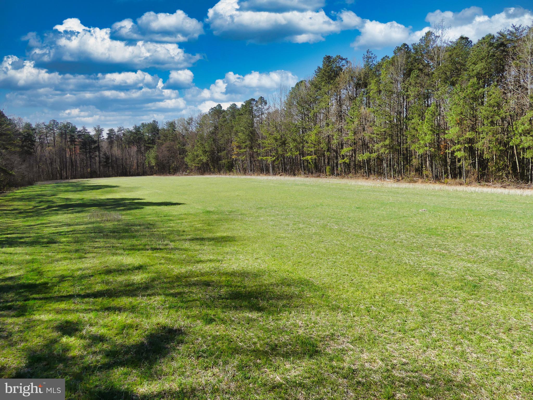 19075 Chilesburg Road Beaverdam, VA 23015 - Photo 4 of 16 Looking into the parcel about midway into field