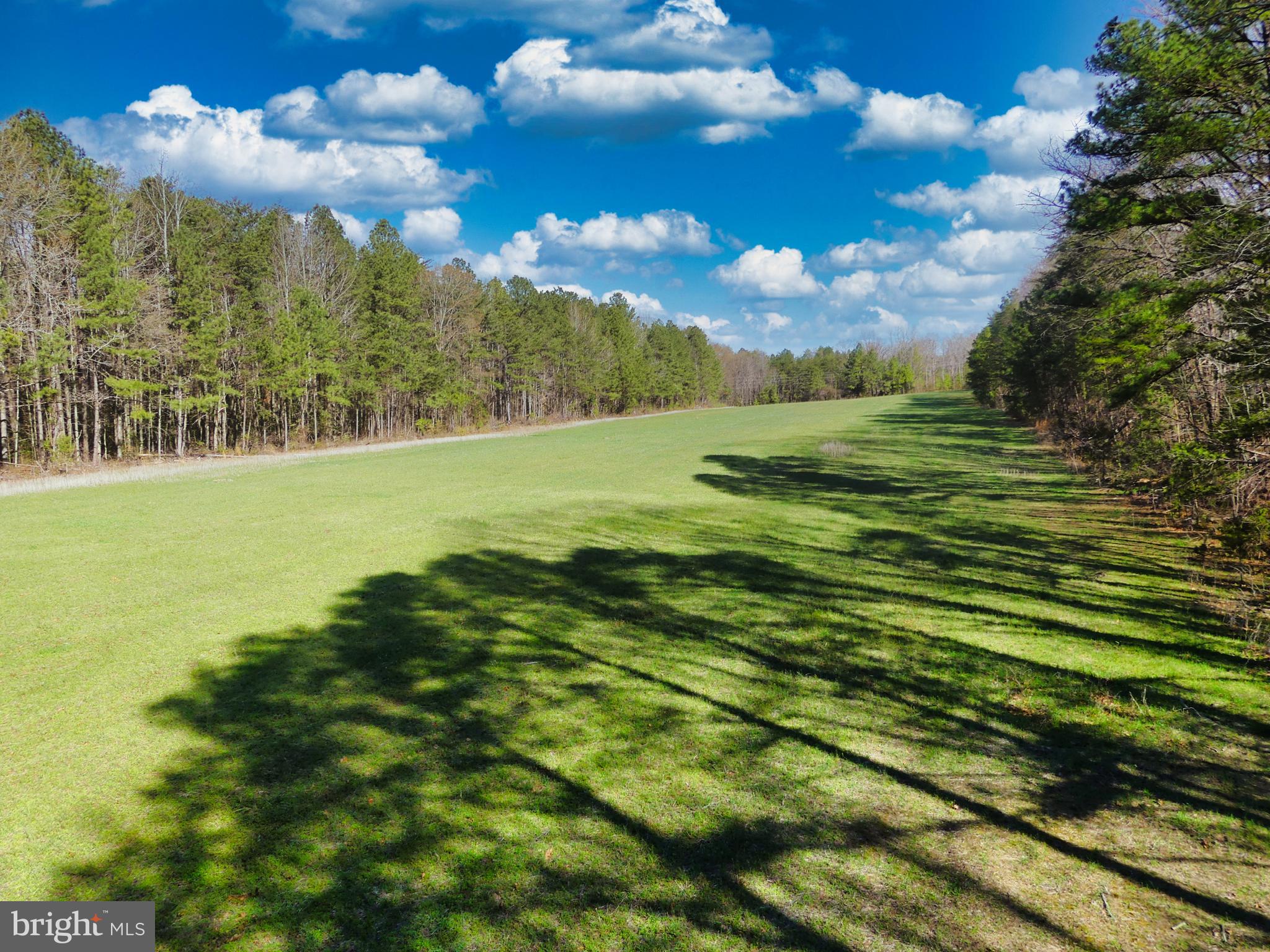19075 Chilesburg Road Beaverdam, VA 23015 - Photo 7 of 16 Looking from back of field towards road