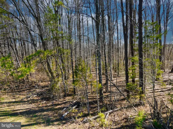 $249,000 | 19075 Chilesburg Road, Beaverdam, VA 23015