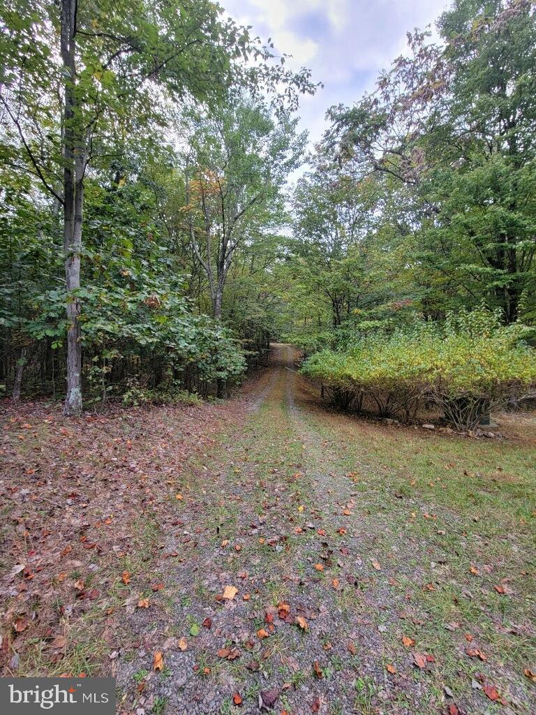 1088 Spook Hollow Road Berkeley Springs, WV 25411 - Photo 26 of 31 Gallery Image 26