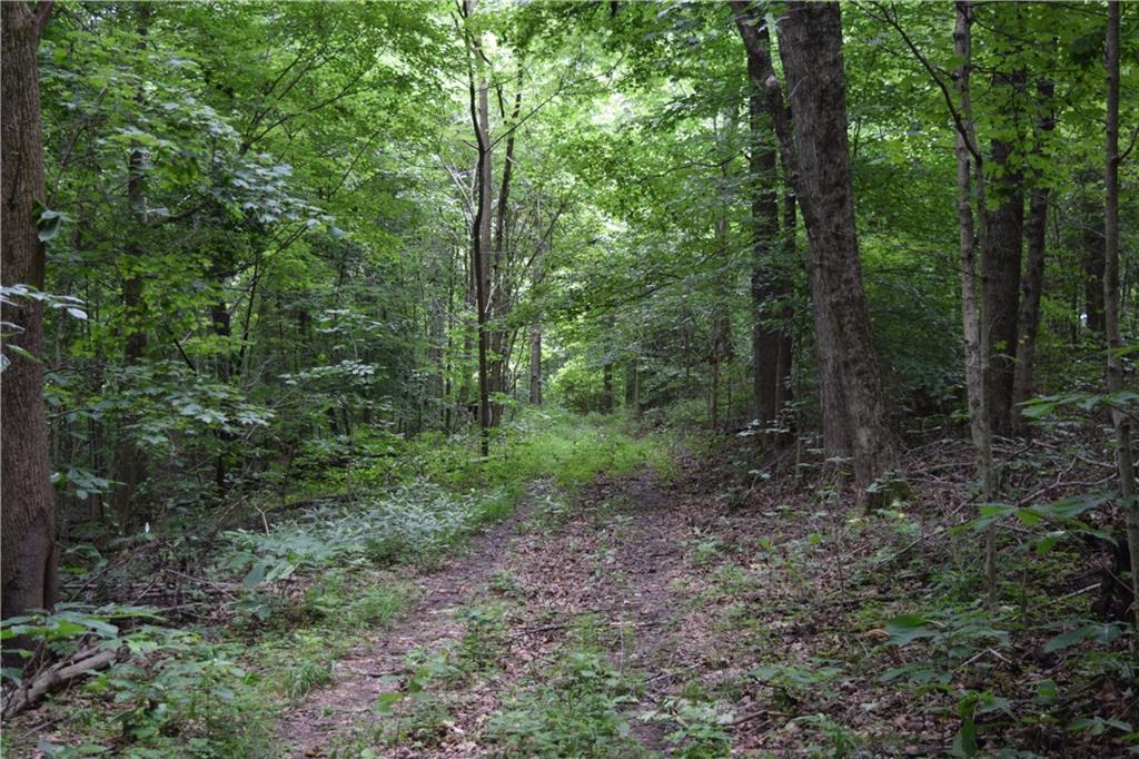 10000 Tunnelton Road Bedford, IN 47421 - Photo 7 of 10