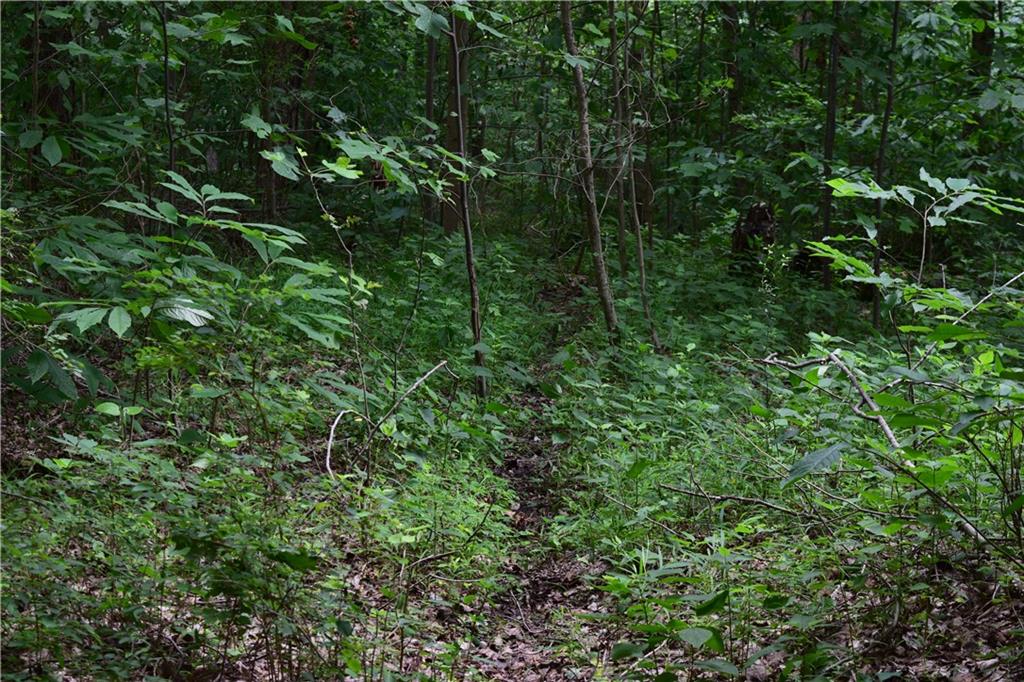 10000 Tunnelton Road Bedford, IN 47421 - Photo 9 of 10