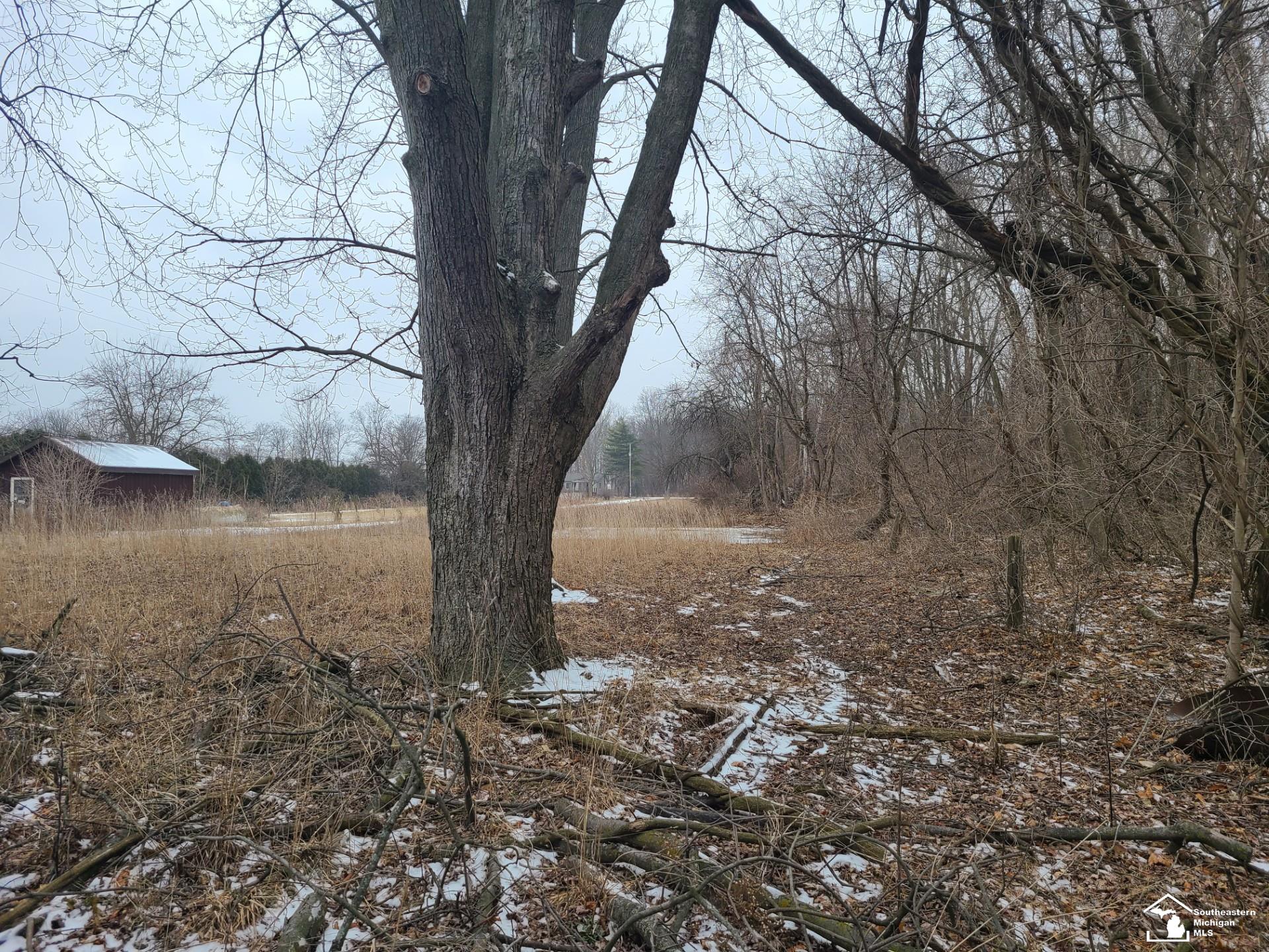14281 South Telegraph Road Monroe, MI 48161 - Photo 4 of 10 50166512-282a801e-0d40-403e-b2f9-d5c18e38b181.JPG
