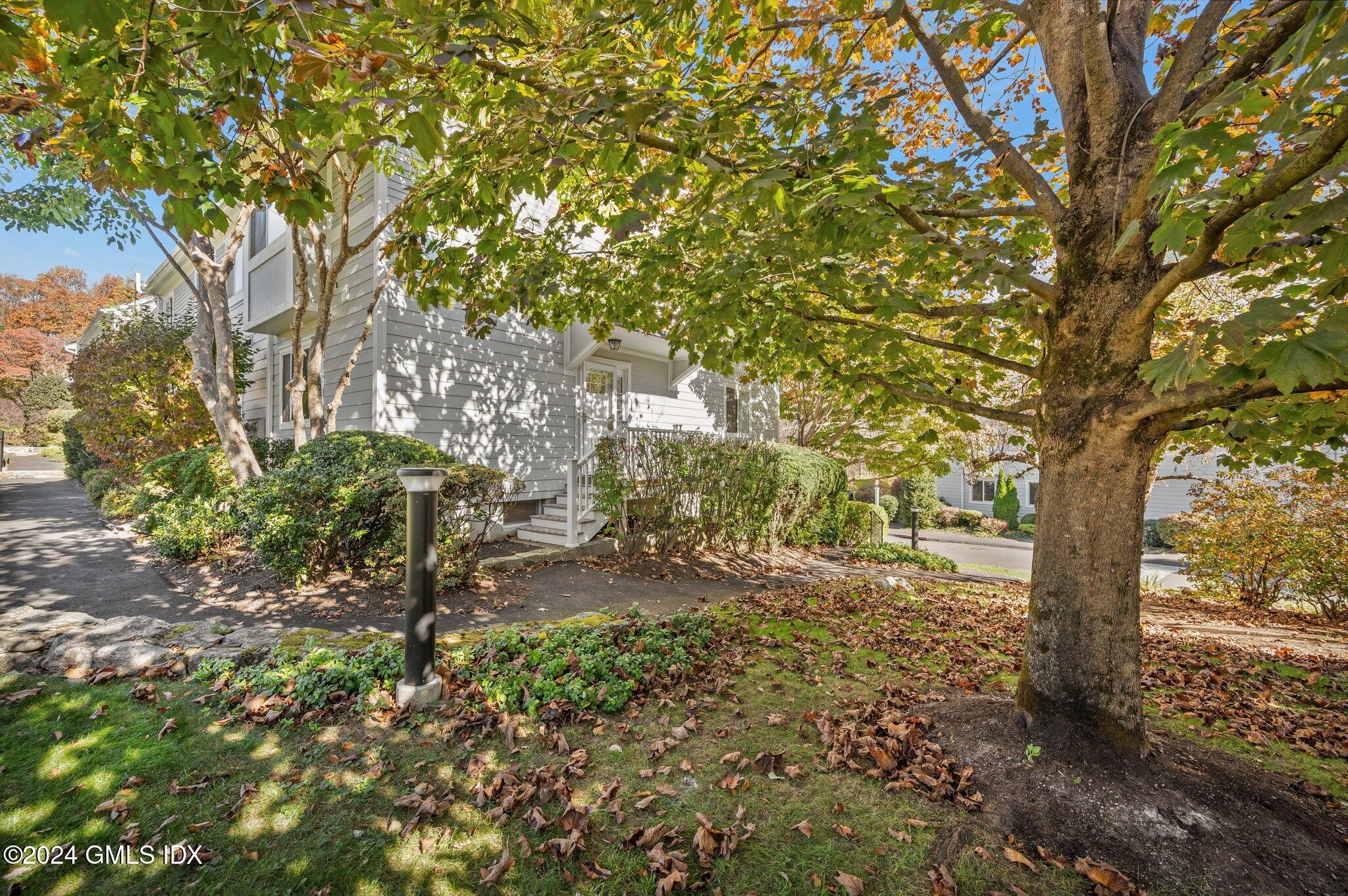 75 Silo Circle, Unit 75 Riverside, CT 06878 - Photo 38 of 53 a view of tree