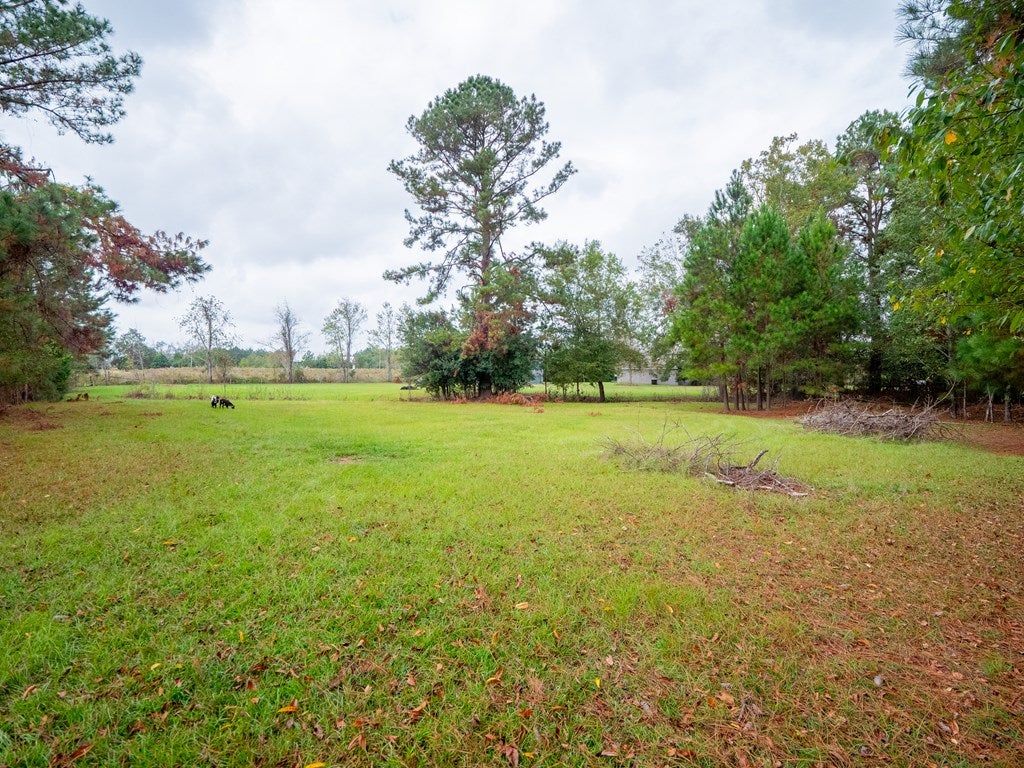 6760 Clyattstone Road Hahira, GA 31632 - Photo 55 of 59 Gallery Image 55