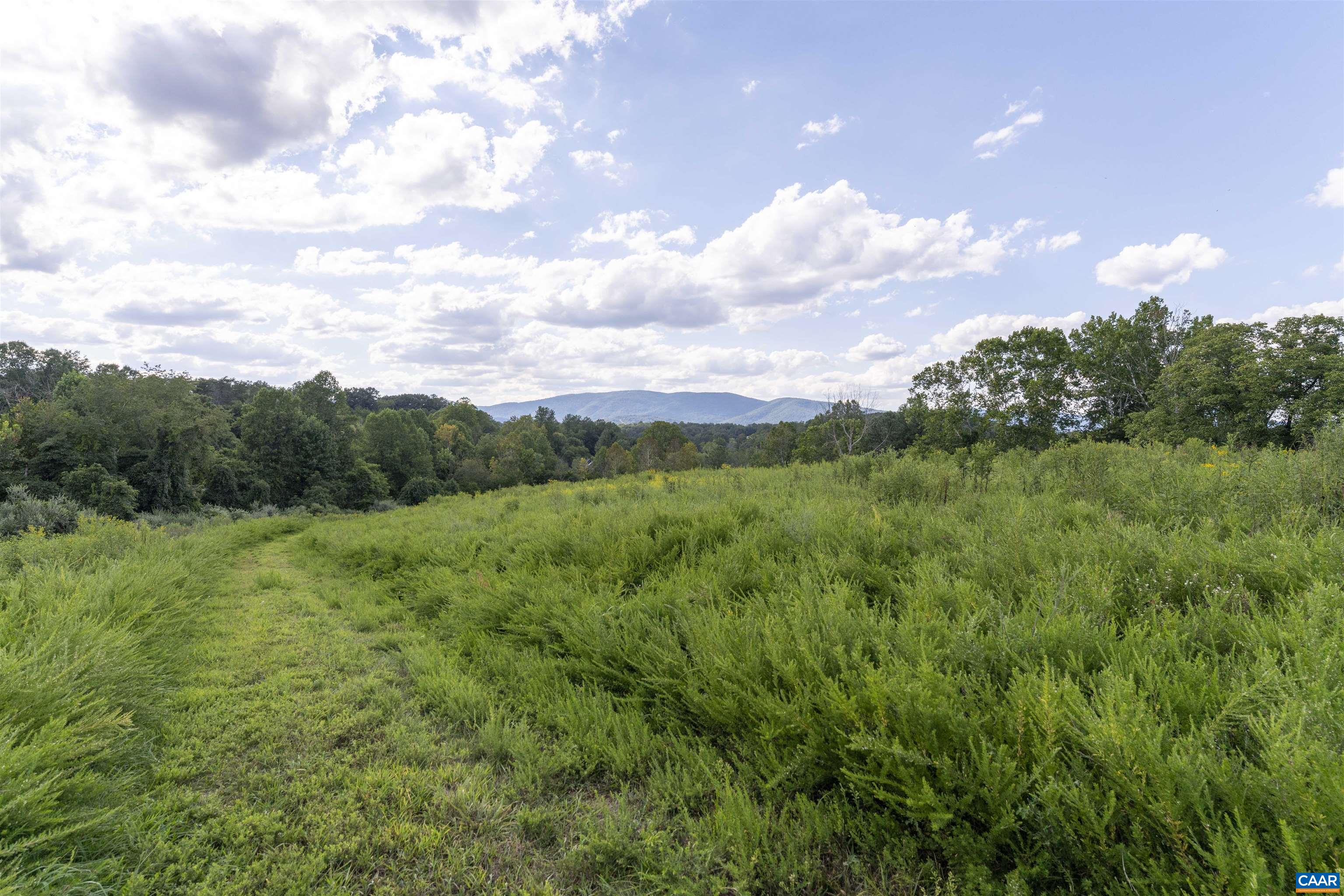 Lot 5 Gillums Ridge Road Charlottesville, VA 22903 - Photo 2 of 14 a view of a big yard with plants and large trees
