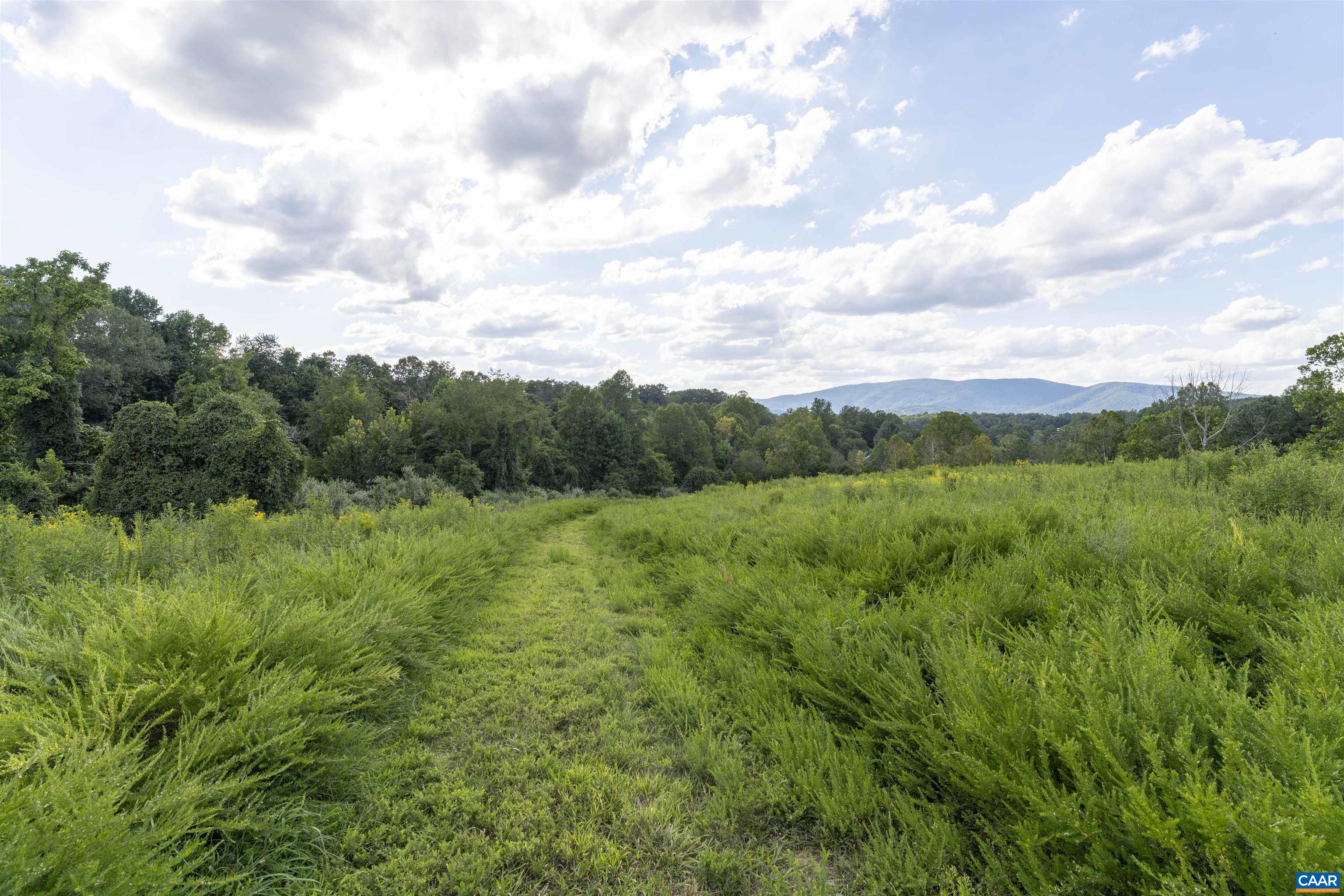 Lot 5 Gillums Ridge Road Charlottesville, VA 22903 - Photo 3 of 14 a view of a green field with lots of bushes