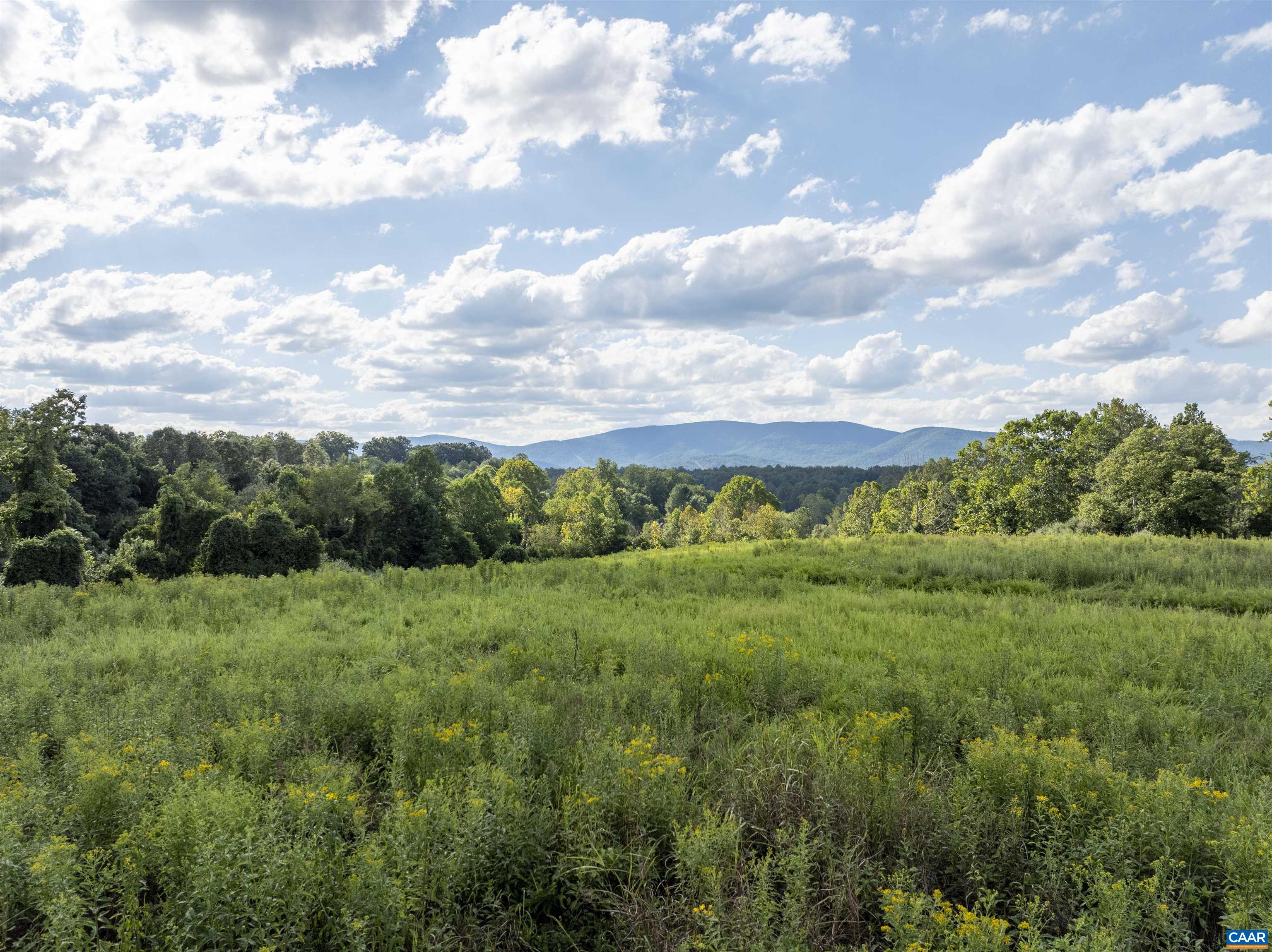 Lot 5 Gillums Ridge Road Charlottesville, VA 22903 - Photo 4 of 14 a view of a lush green space