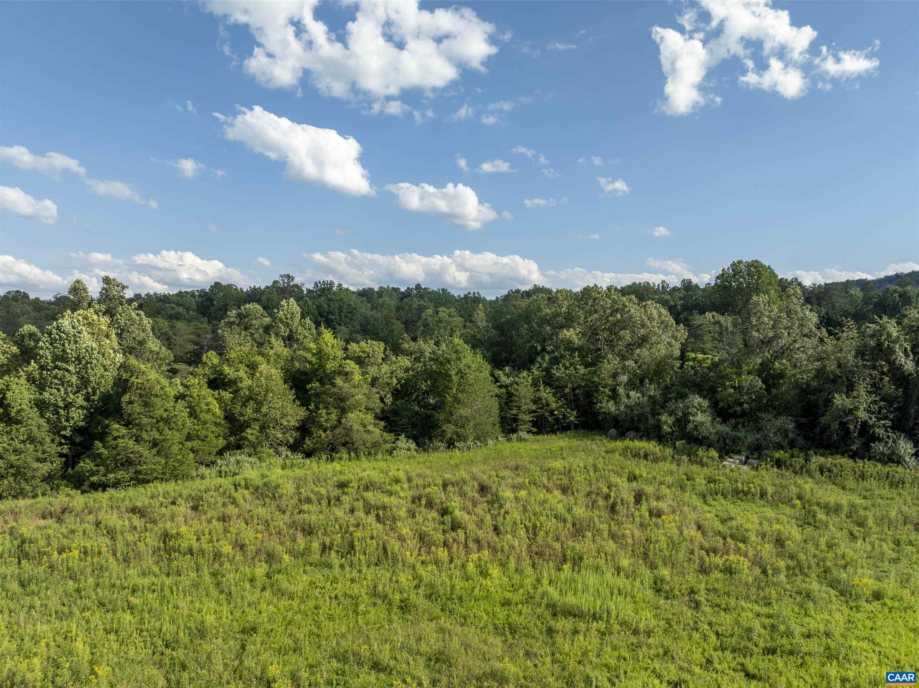Lot 5 Gillums Ridge Road Charlottesville, VA 22903 - Photo 9 of 14 a view of a yard with plants and large trees