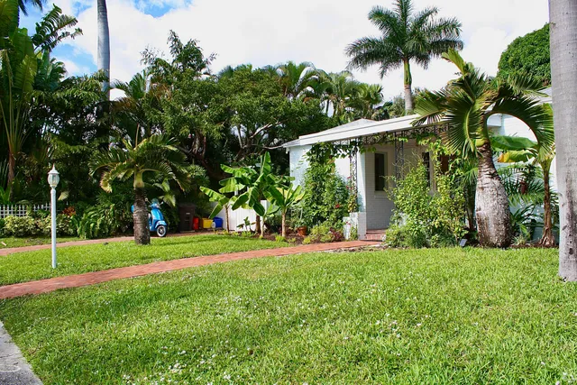 a view of a park with plants and palm trees