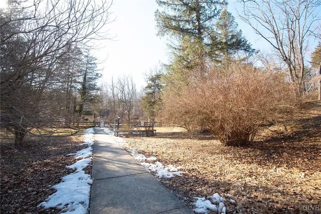 a view of a yard with large trees