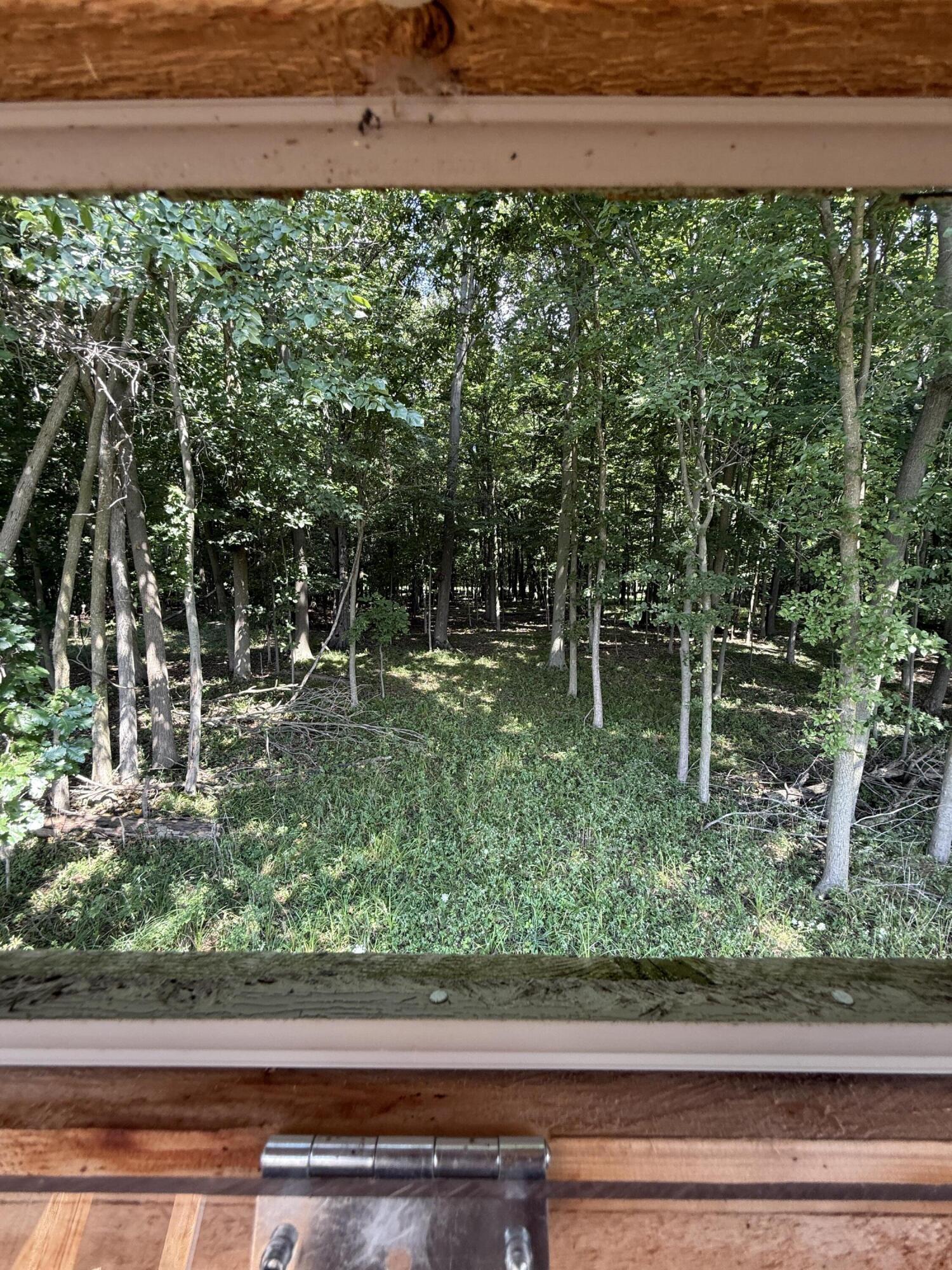8670 North Baldwin Road Henderson, MI 48841 - Photo 73 of 98 IMG_0224