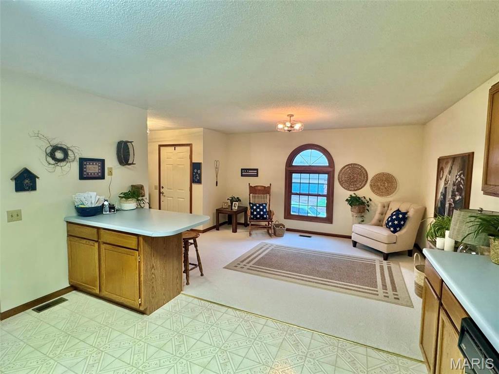 4156 Red Bud Drive Hannibal, MO 63401 - Photo 10 of 18