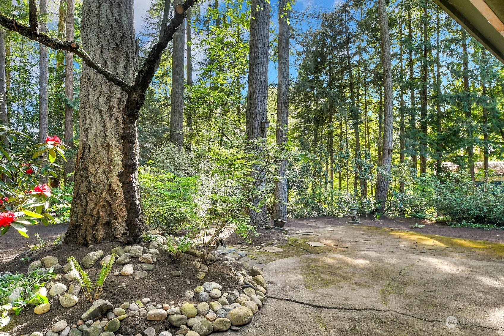 318 170th Place Southwest Bothell, WA 98012 - Photo 32 of 34 a view of a garden with plants and large trees