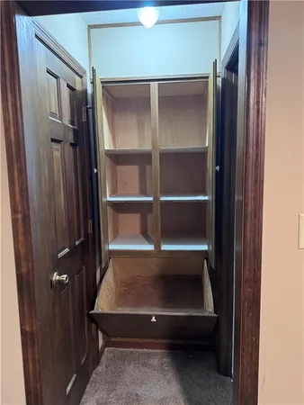 a bathroom with a shower and a toilet