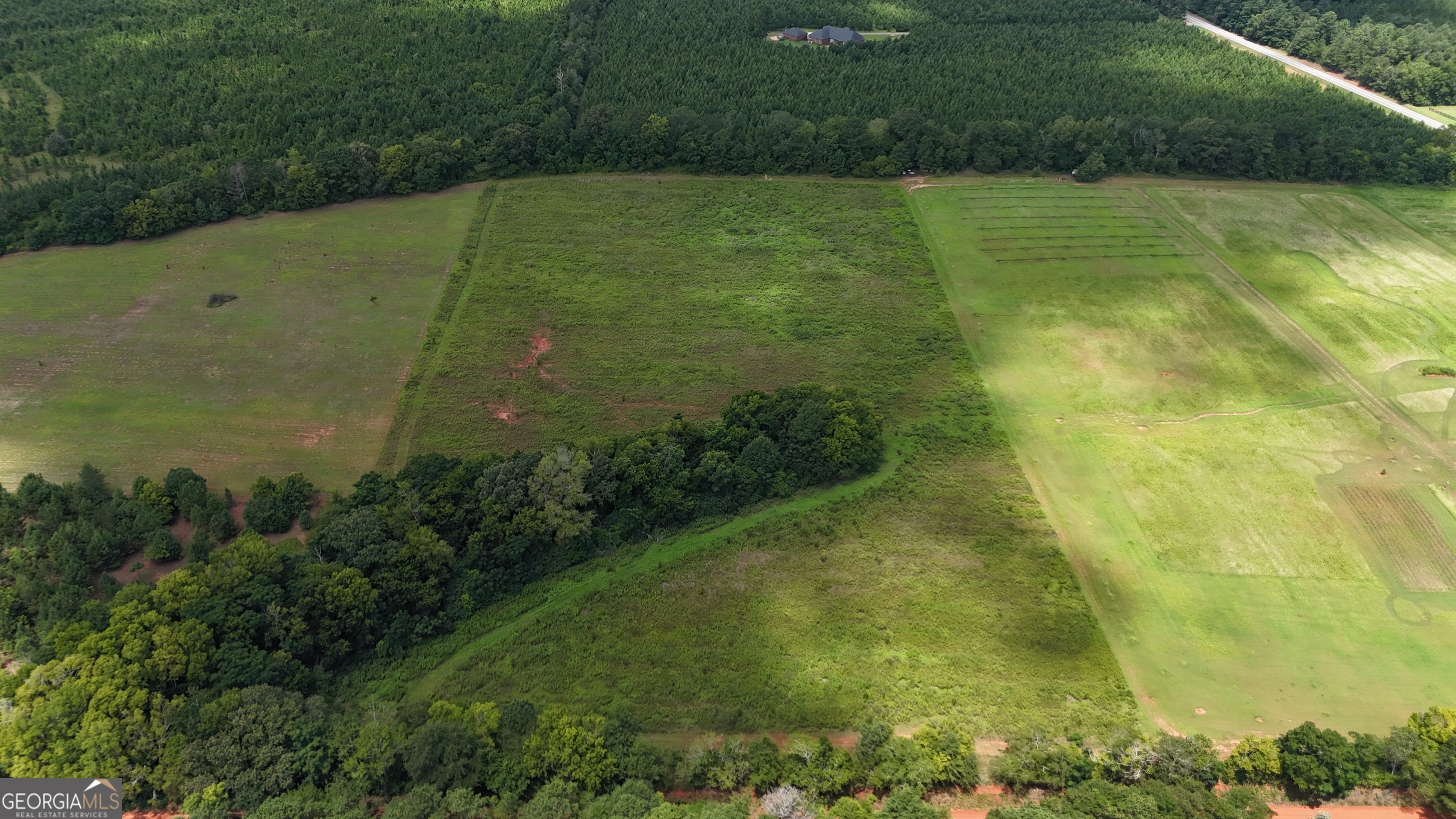 0 Carter Fish Pond Road Plains, GA 31780 - Photo 1 of 1 Gallery Image 1