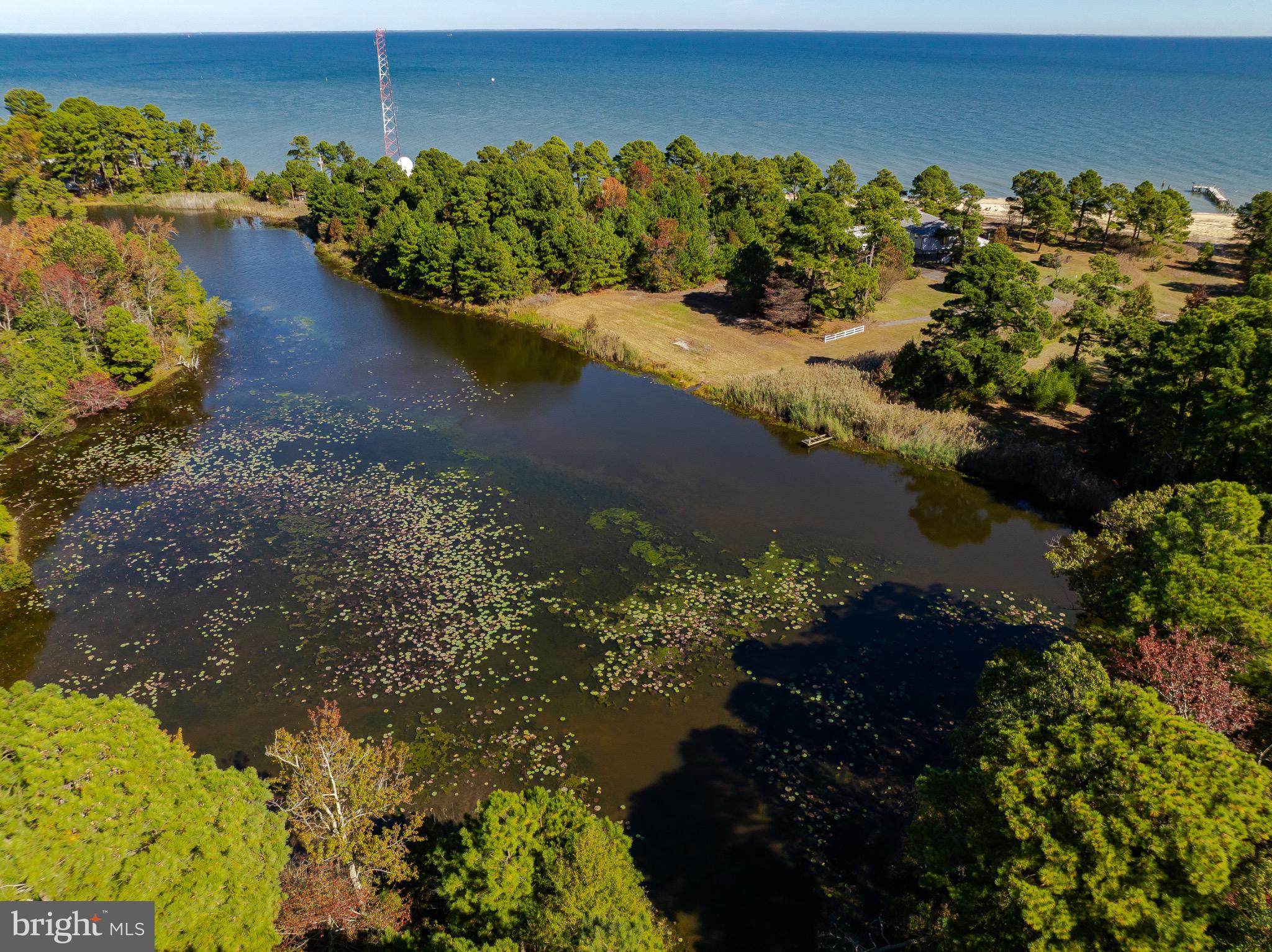 50645 Holly Point Road Dameron, MD 20628 - Photo 33 of 99