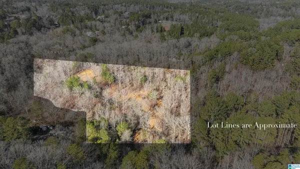 $70,000 | 7019 Groundhog Road, Unit 1, Morris, AL 35116