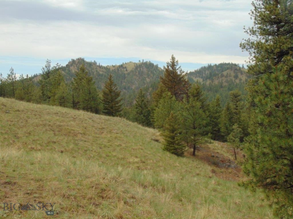 Tbd Shady Spring Lane Cascade, MT 59421 - Photo 10 of 78 Gallery Image 10