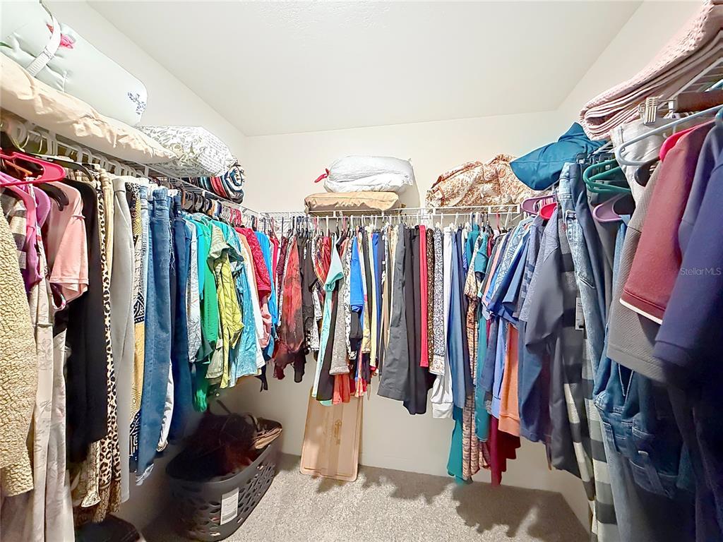 13677 Southwest 69th Terrace Ocala, FL 34473 - Photo 15 of 28 a view of walk in closet with clothes