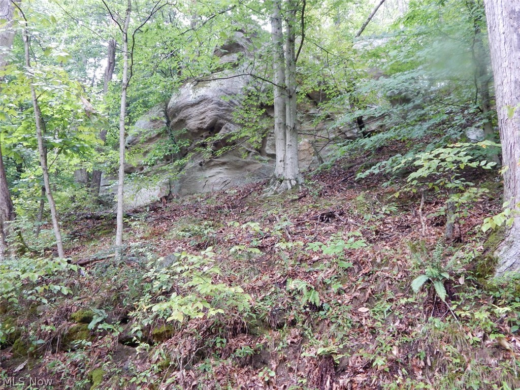 Isaac Run Road Harrisville, WV 26362 - Photo 12 of 20