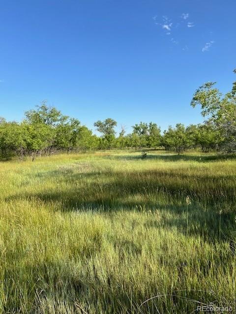 8523 Hygiene Road Longmont, CO 80503 - Photo 11 of 20 a view of a lake with a big yard