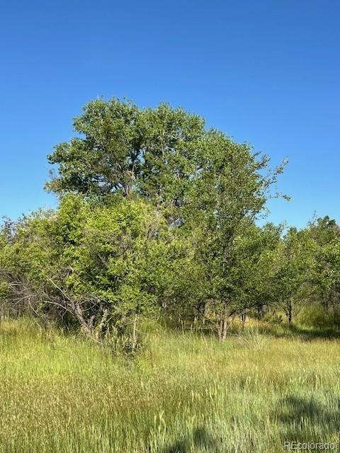 8523 Hygiene Road Longmont, CO 80503 - Photo 12 of 20 a view of a lake view