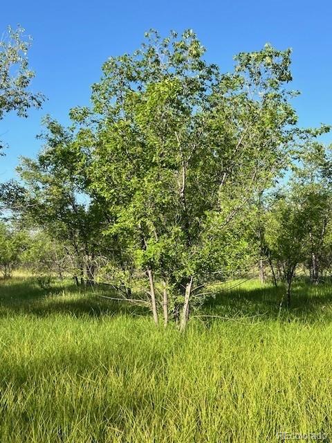 8523 Hygiene Road Longmont, CO 80503 - Photo 17 of 20 a view of a lake with houses