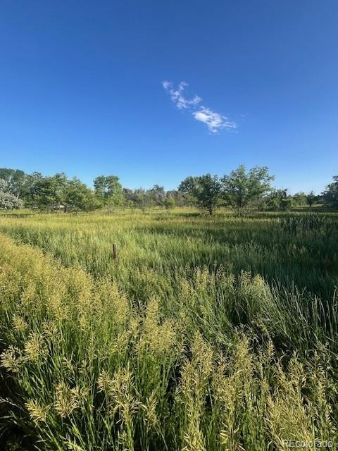 8523 Hygiene Road Longmont, CO 80503 - Photo 2 of 20 a view of a city and lush green forest