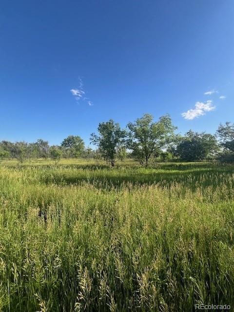 8523 Hygiene Road Longmont, CO 80503 - Photo 7 of 20 a view of lake with green space